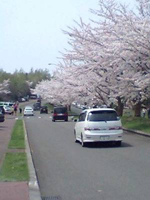 hanaro-do.JPG